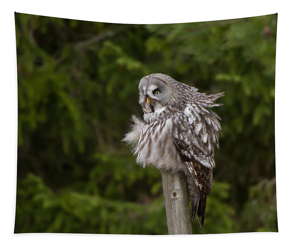 Great Gray Owl Tapestry featuring the photograph The Great Grey Owl by Torbjorn Swenelius