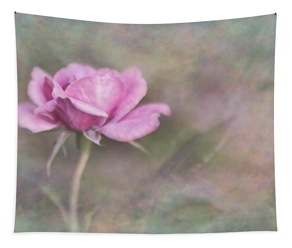 Bloom Tapestry featuring the photograph The Rose #1 by David and Carol Kelly