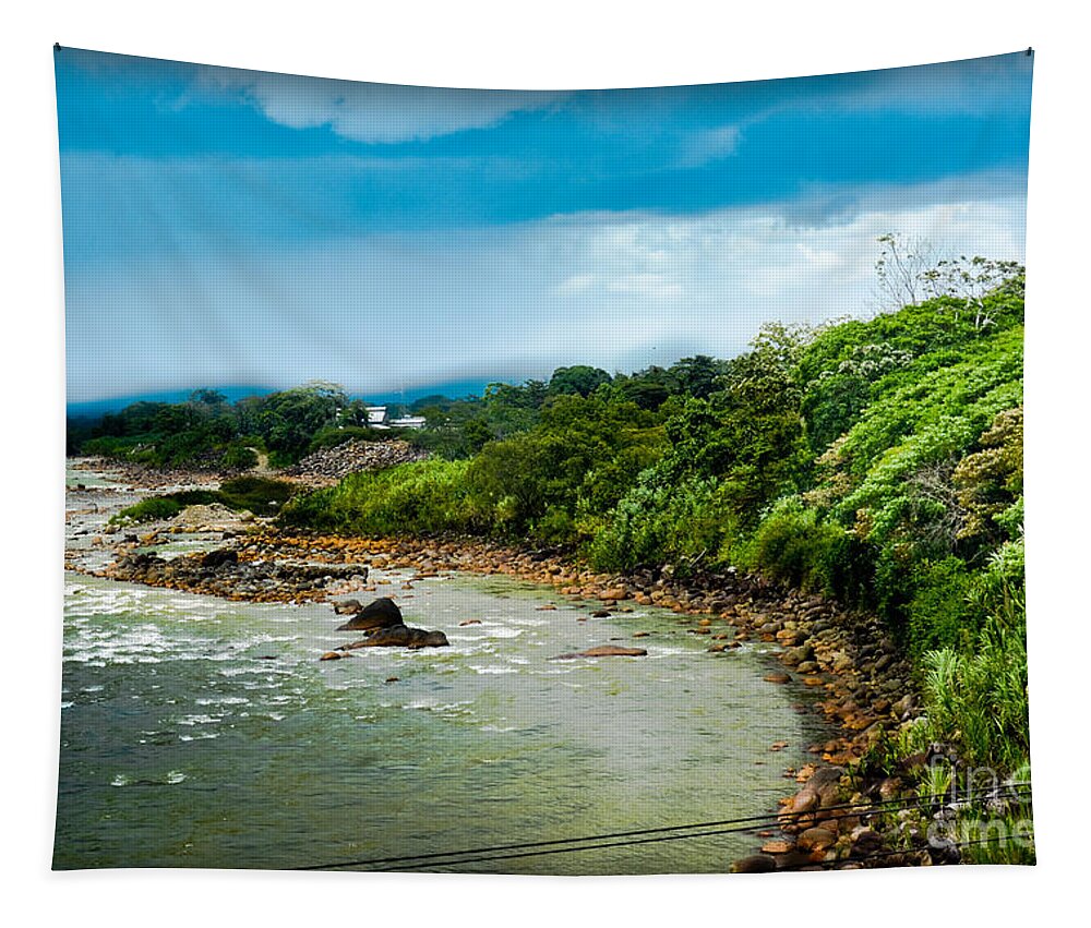 Tortuguero Tapestry featuring the photograph Tortuguero River #2 by Gary Keesler
