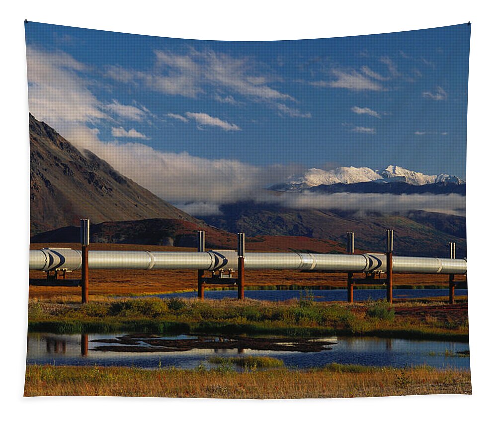 Alaska Industry Tapestry featuring the photograph Trans-alaska Pipeline #1 by Thomas And Pat Leeson