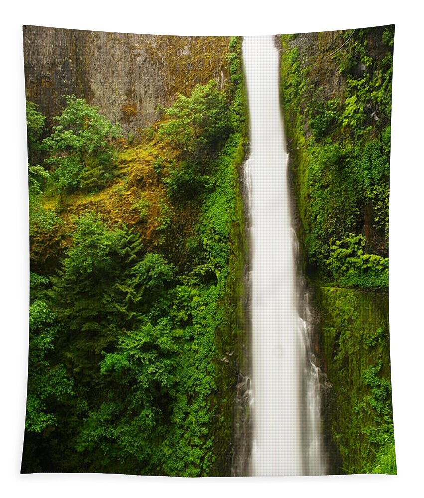 Tunnel Falls Tapestry featuring the photograph Tunnel Falls #1 by Jeff Swan