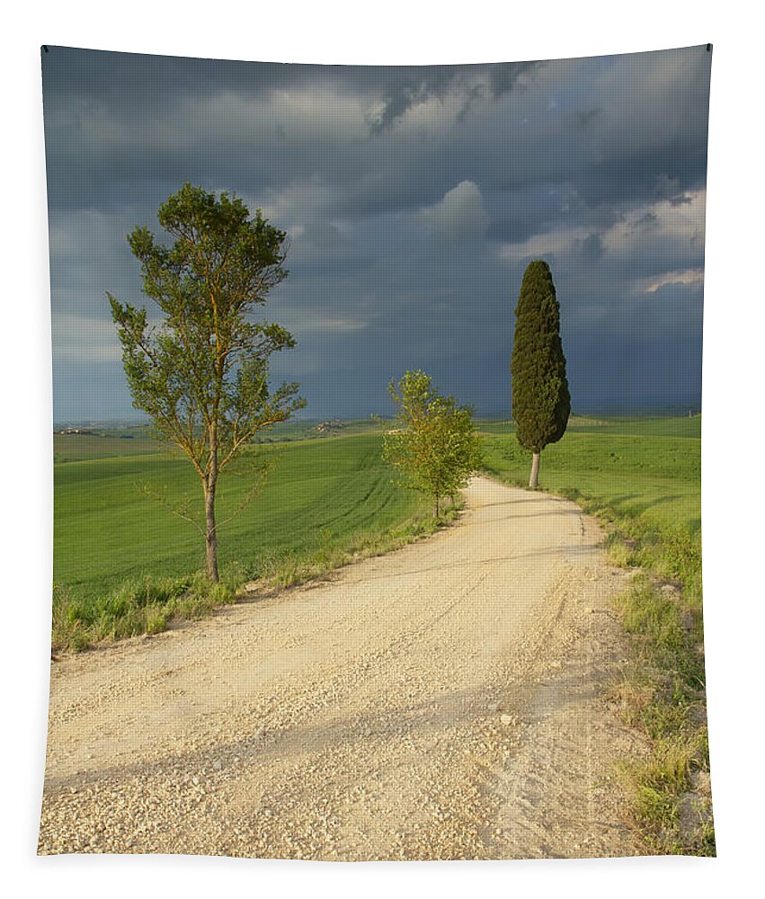Italy Tapestry featuring the photograph Tuscan landscape #1 by Jaroslav Frank