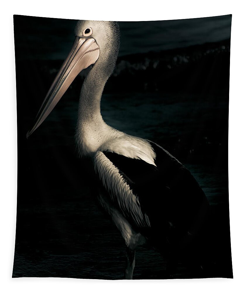 Animal Tapestry featuring the photograph Twilight Pelican #1 by Jorgo Photography