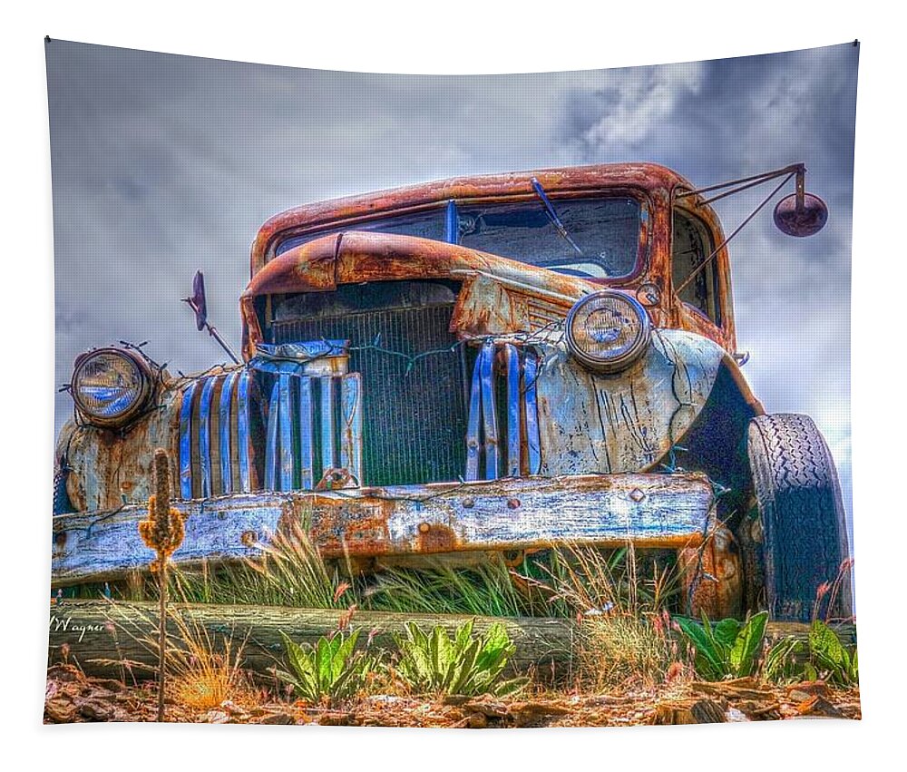 Car Tapestry featuring the photograph Used Car For Sale #1 by Will Wagner