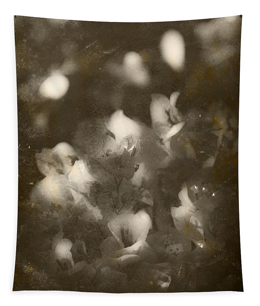 Closeup Tapestry featuring the photograph Vintage Floral Background #1 by Jorgo Photography
