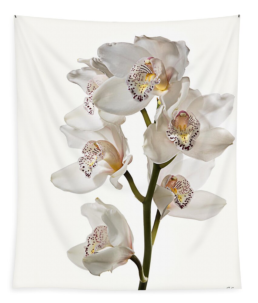 Flower Tapestry featuring the photograph White Orchids #1 by Endre Balogh