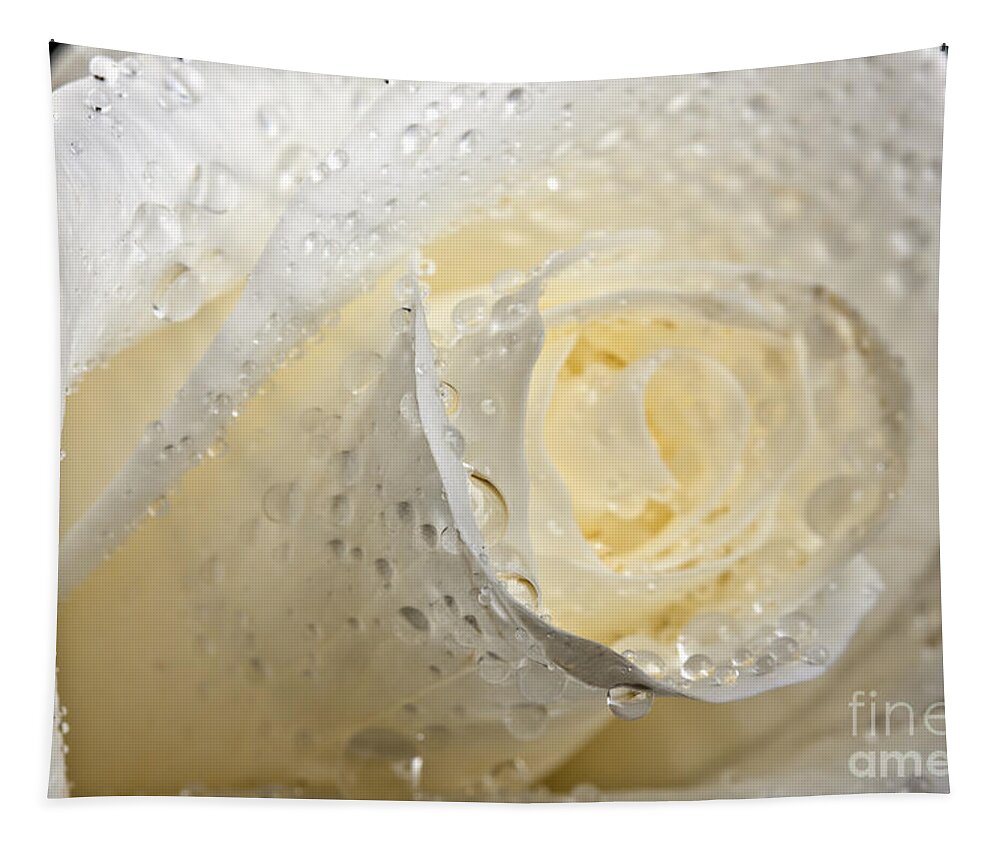 Beautiful Tapestry featuring the photograph White Roses #1 by Gunnar Orn Arnason