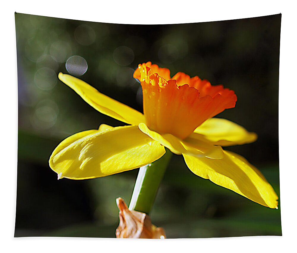 Daffodil Tapestry featuring the photograph Wide Open by Joe Schofield