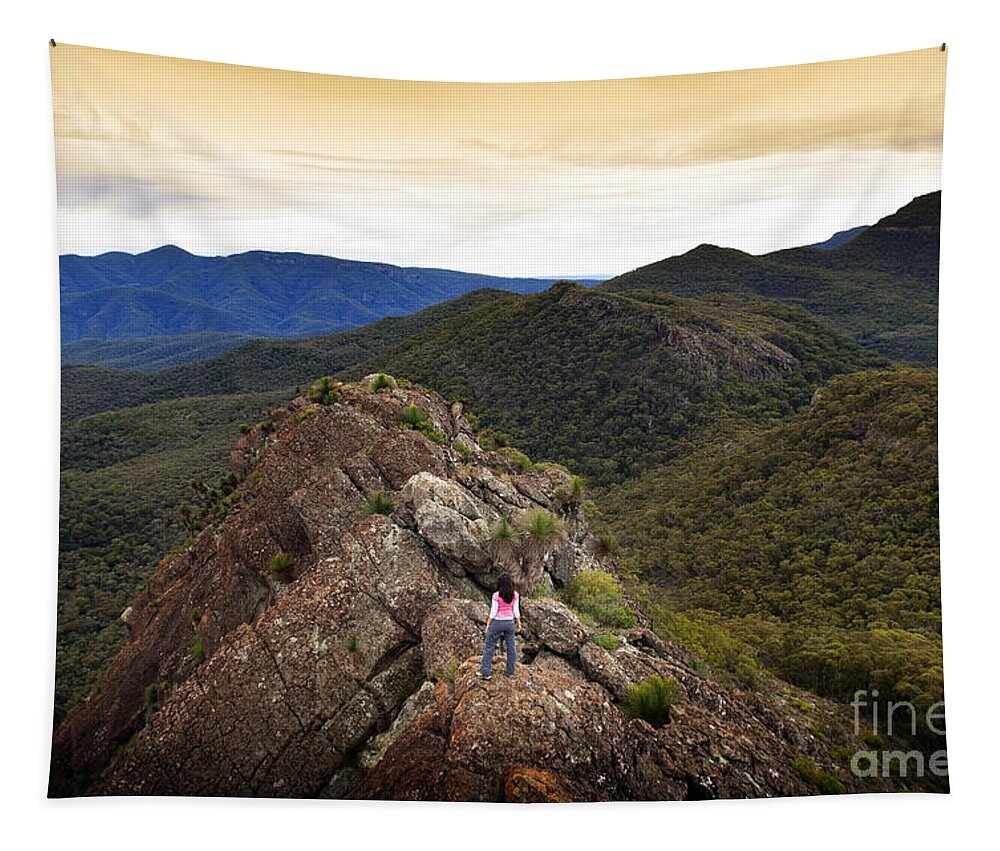 forsvinde regnskyl Ingen Woman on Mountain Top Tapestry by THP Creative - Fine Art America