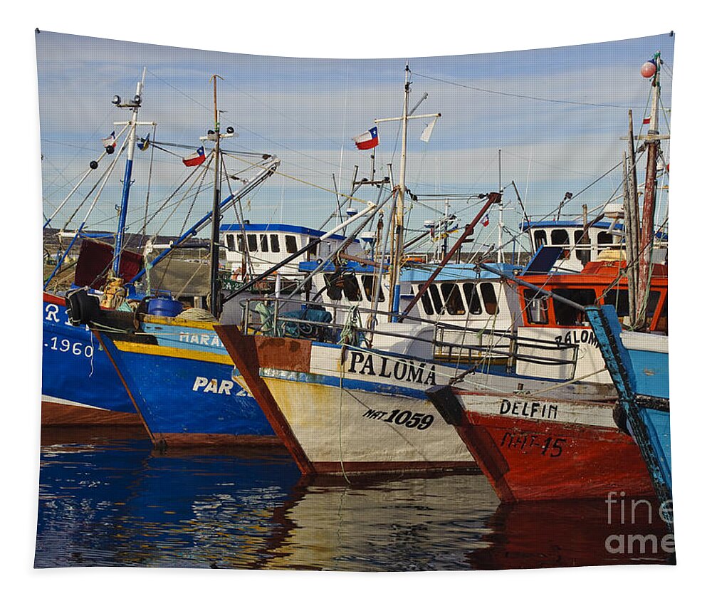 Wooden Fishing Boats In Harbor, Chile #1 Tapestry by John Shaw - Science  Source Prints - Website