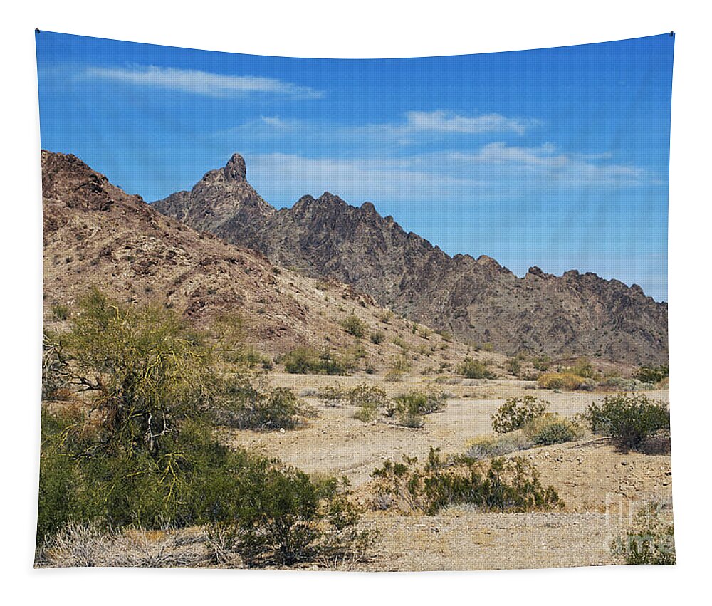Yuma Desert Tapestry featuring the photograph Yuma Desert #1 by David Davis