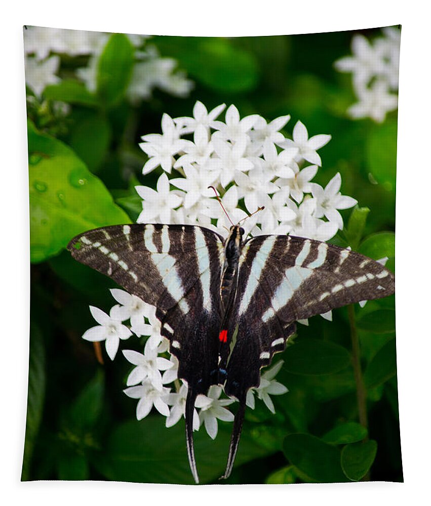 Zebra Tapestry featuring the photograph Zebra Swallowtail #1 by Angela DeFrias