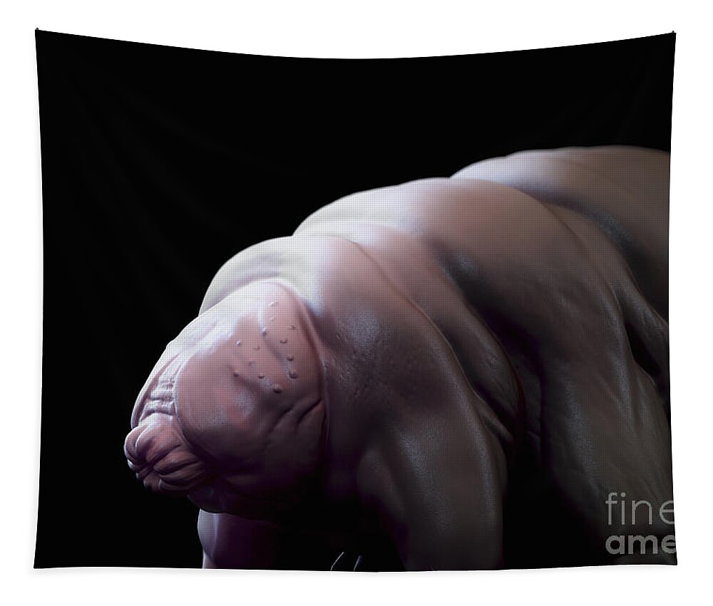 Protostomia Tapestry featuring the photograph Water Bear Tardigrades #10 by Science Picture Co