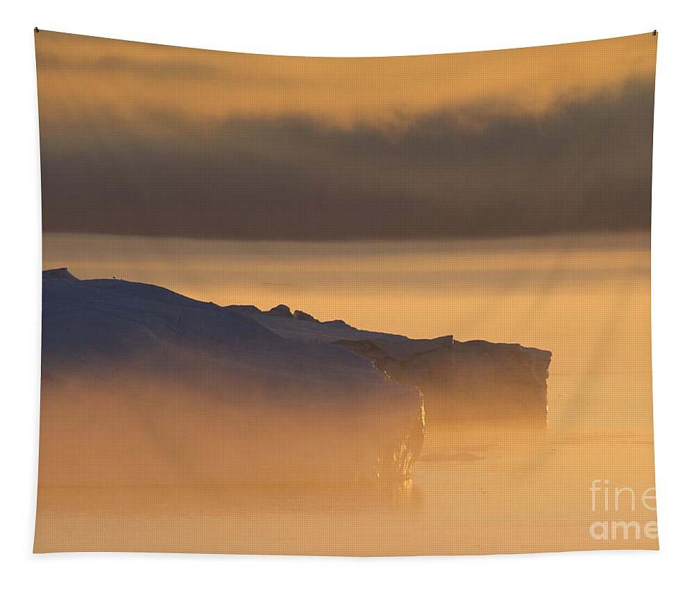 Iceberg Tapestry featuring the photograph 101130p119 by Arterra Picture Library