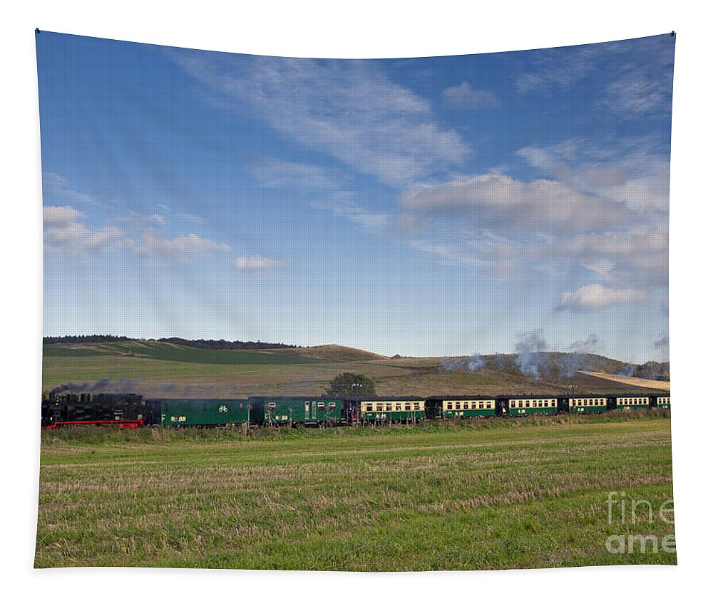 Steam Locomotive Tapestry featuring the photograph 110202p296 by Arterra Picture Library