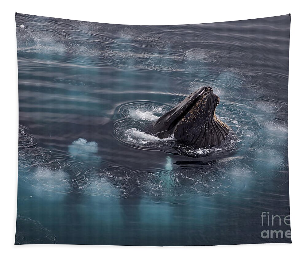 Humpback Whale Tapestry featuring the photograph 111130p126 by Arterra Picture Library