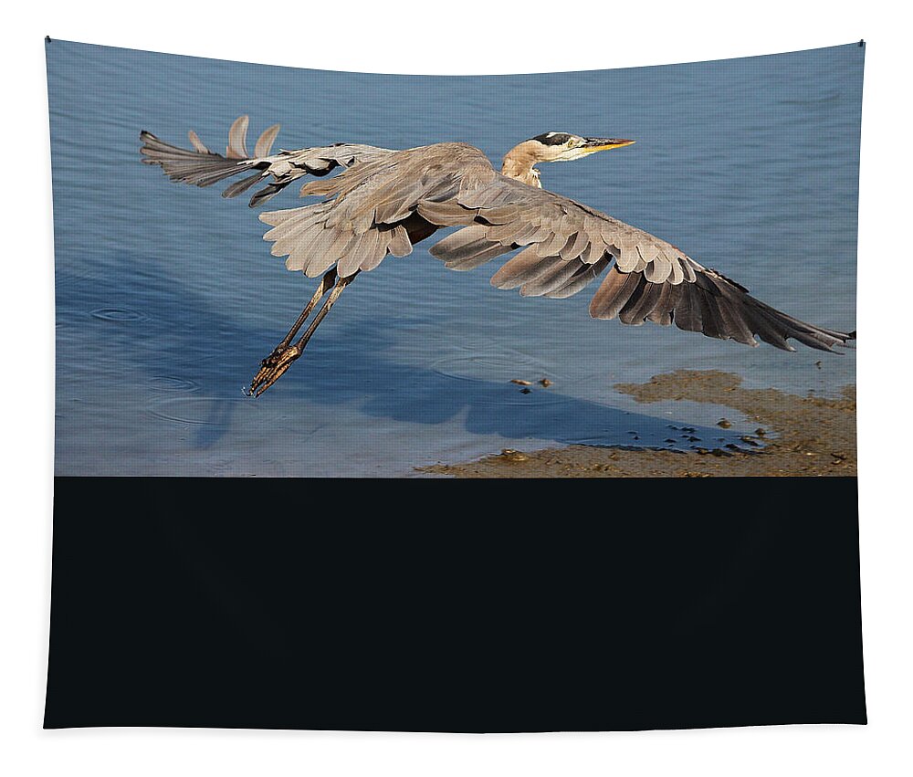 Egret Tapestry featuring the photograph Great Blue Heron #23 by Paulette Thomas