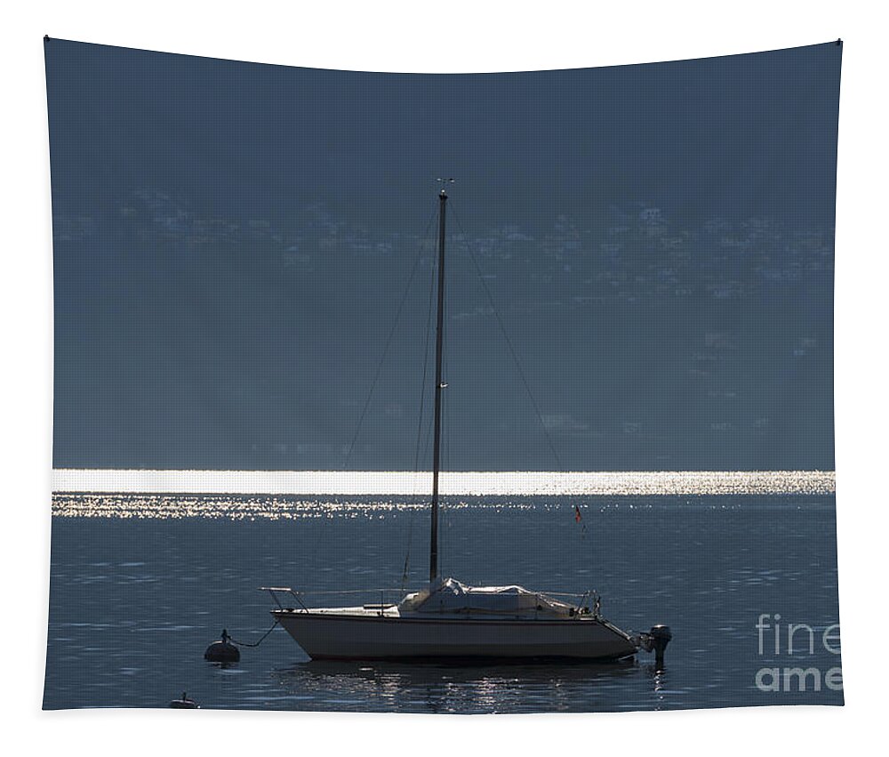Sailing Boat Tapestry featuring the photograph Sailing boat #14 by Mats Silvan