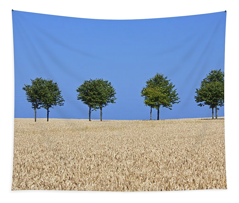 Row Tapestry featuring the photograph 140314p327 by Arterra Picture Library