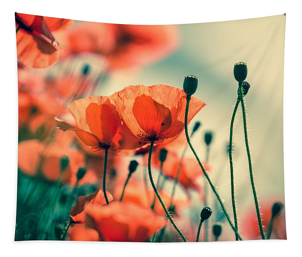 Poppy Tapestry featuring the photograph Poppy Meadow by Nailia Schwarz