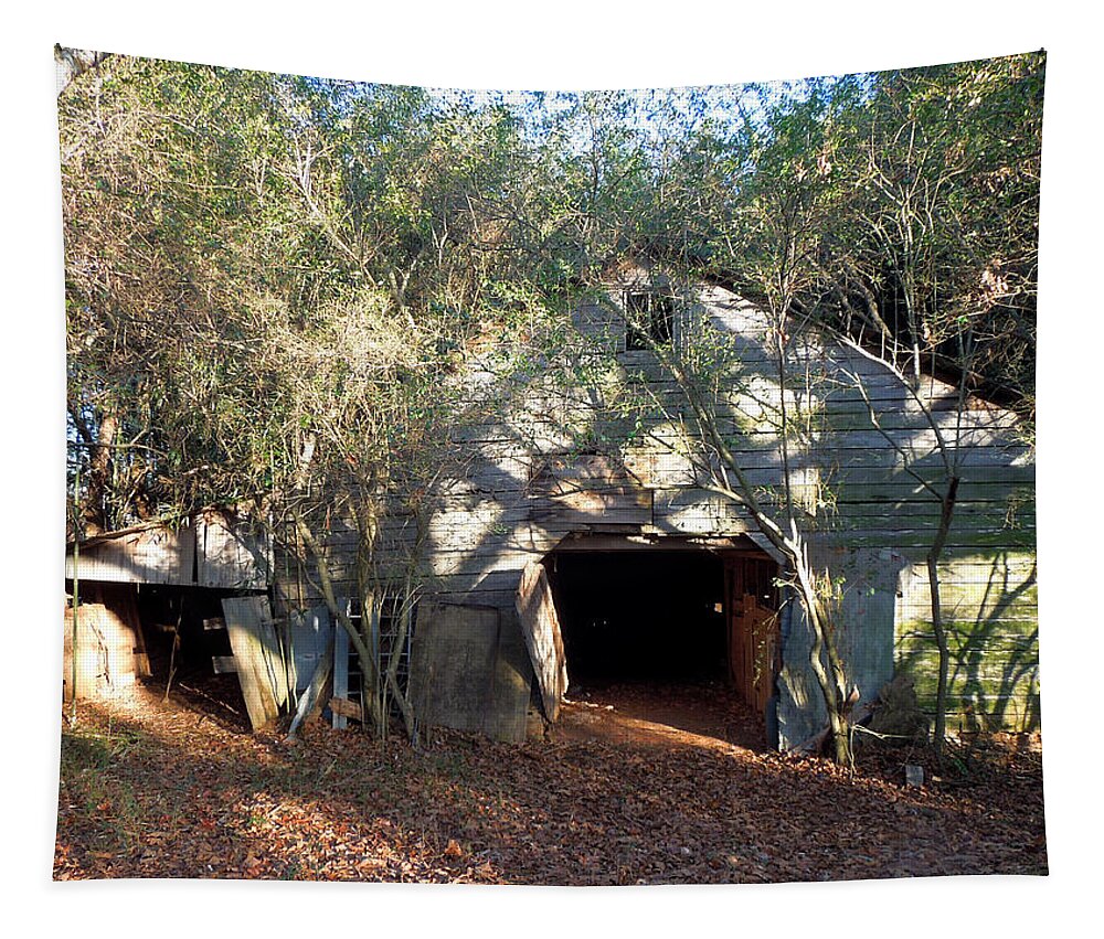 Barn Tapestry featuring the photograph 1940's Barn by Pete Trenholm