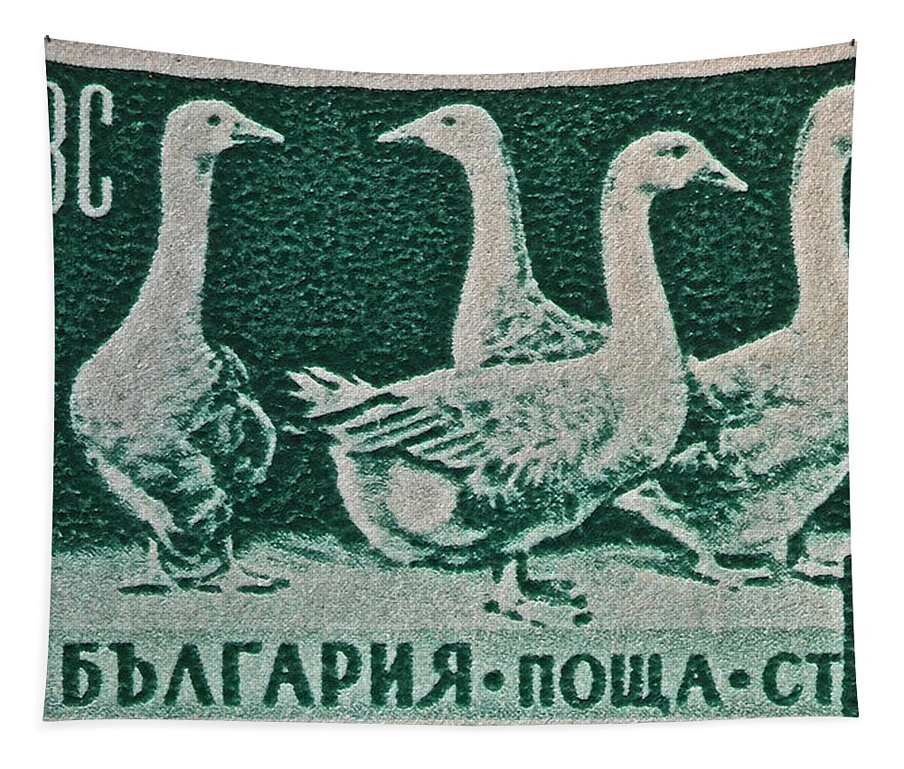 1955 Tapestry featuring the photograph 1955 Bulgarian Geese Stamp by Bill Owen