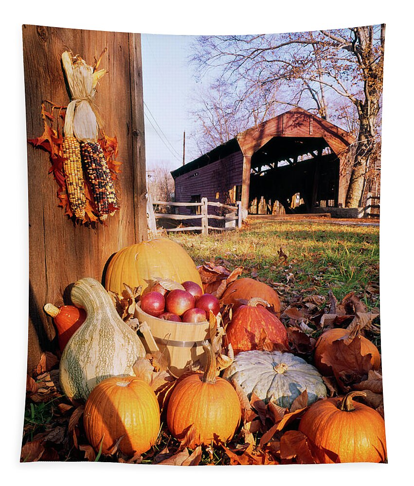 Photography Tapestry featuring the photograph 1960s Harvest Display Of Pumpkins by Vintage Images