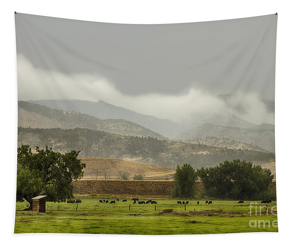 Rain Tapestry featuring the photograph 1st Day of Rain Great Colorado Flood by James BO Insogna