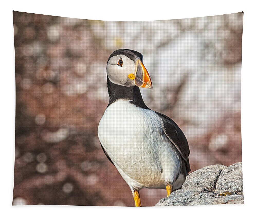 Atlantic Puffin Tapestry featuring the photograph Atlantic Puffin by Perla Copernik
