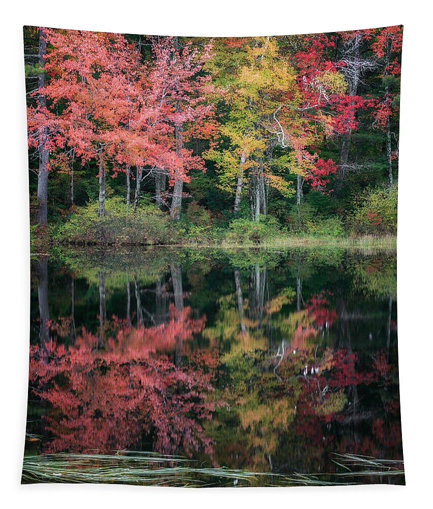 Reflection Tapestry featuring the photograph Autumn Pond #2 by Bill Wakeley