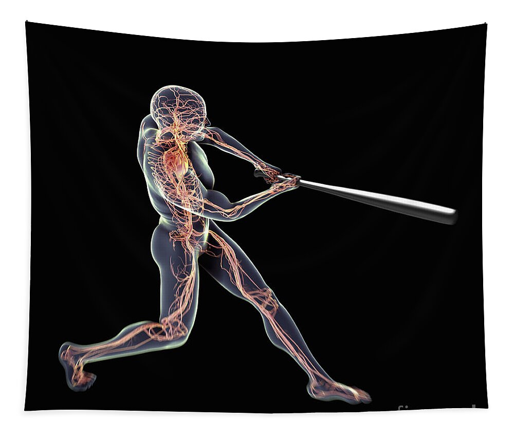Transparency Tapestry featuring the photograph Baseball Swing #2 by Science Picture Co