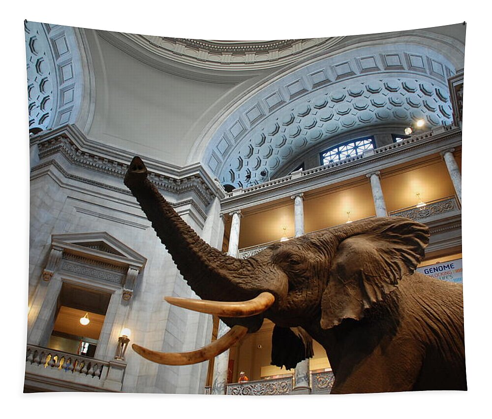 Bull Elephant Tapestry featuring the photograph Bull Elephant in Natural History Rotunda by Kenny Glover