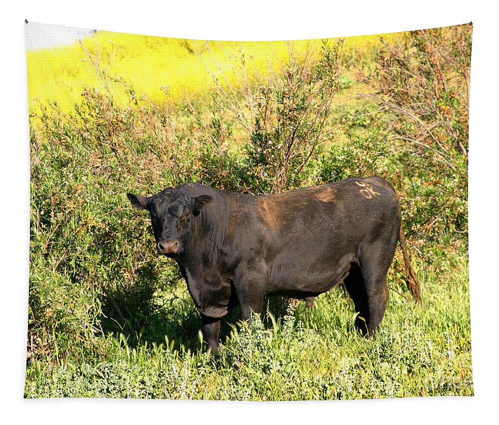 Agriculture Tapestry featuring the photograph Bull #2 by Henrik Lehnerer