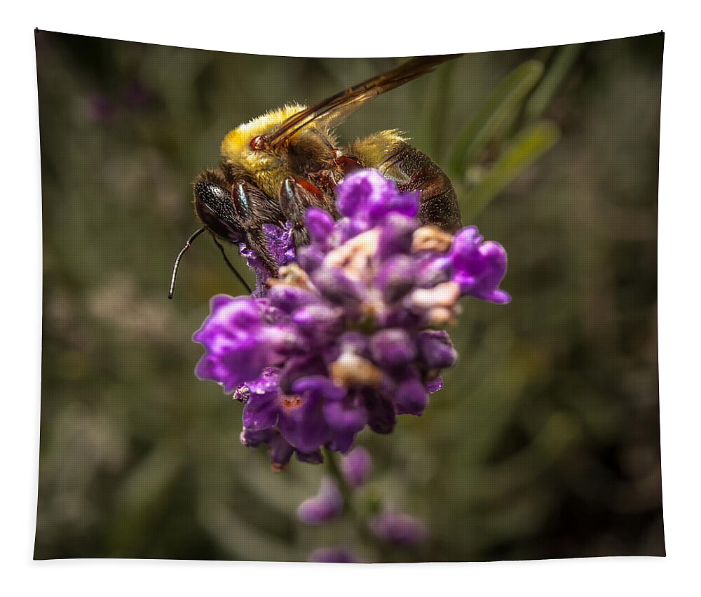 Flower Tapestry featuring the photograph Carpenter Bee on a Lavender Spike by Ron Pate