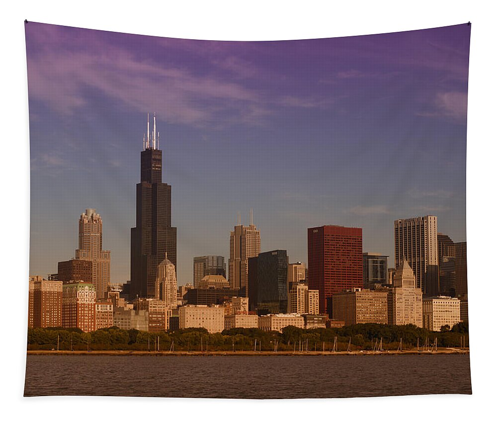 Winterpacht Tapestry featuring the photograph Chicago in the Morning #2 by Miguel Winterpacht