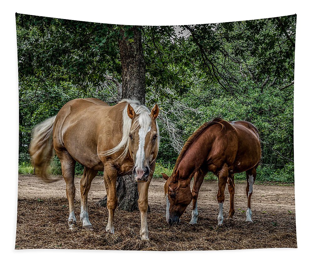 Animal Tapestry featuring the photograph Curiosity #2 by Doug Long