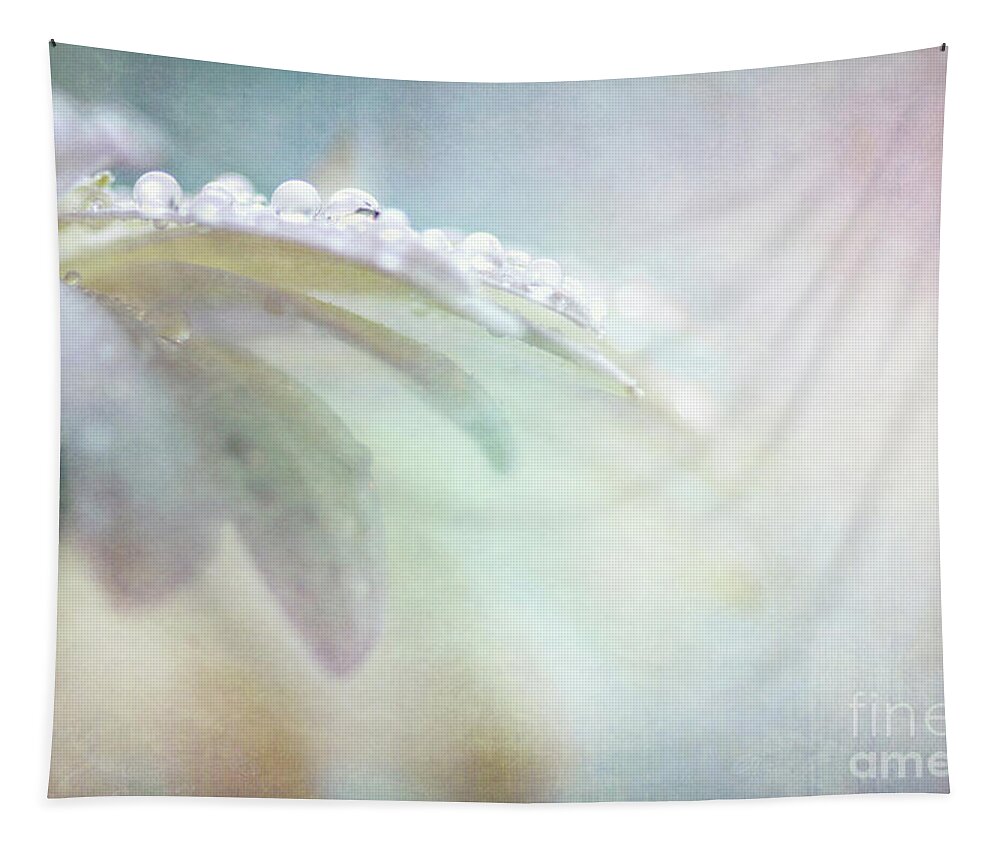 Daisy Tapestry featuring the photograph Daisy Drops #2 by Sylvia Cook