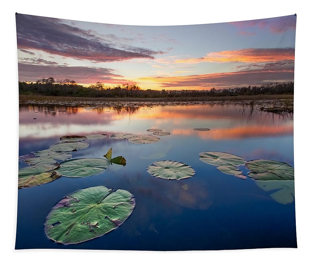 Clouds Tapestry featuring the photograph Everglades at Sunset by Debra and Dave Vanderlaan