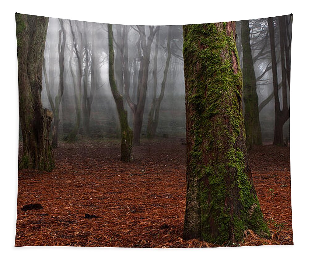 Landscape Tapestry featuring the photograph Magic light #1 by Jorge Maia