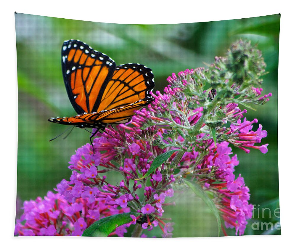 Butterfly Tapestry featuring the photograph Monarch Butterfly #2 by Mark Dodd