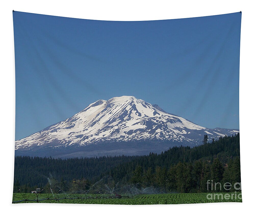 Mt Adams Tapestry featuring the photograph Mt Adams #2 by Charles Robinson