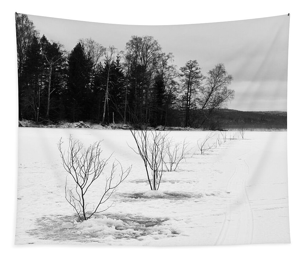 Finland Tapestry featuring the photograph Network pathway #3 by Jouko Lehto