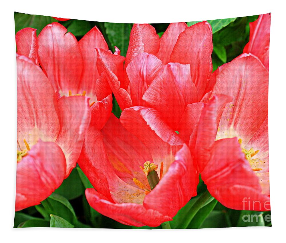 Tulips Tapestry featuring the photograph Tulips Radiant in Pink by Dora Sofia Caputo