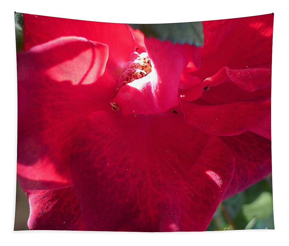 Red Tapestry featuring the photograph Rose #4 by Nora Boghossian