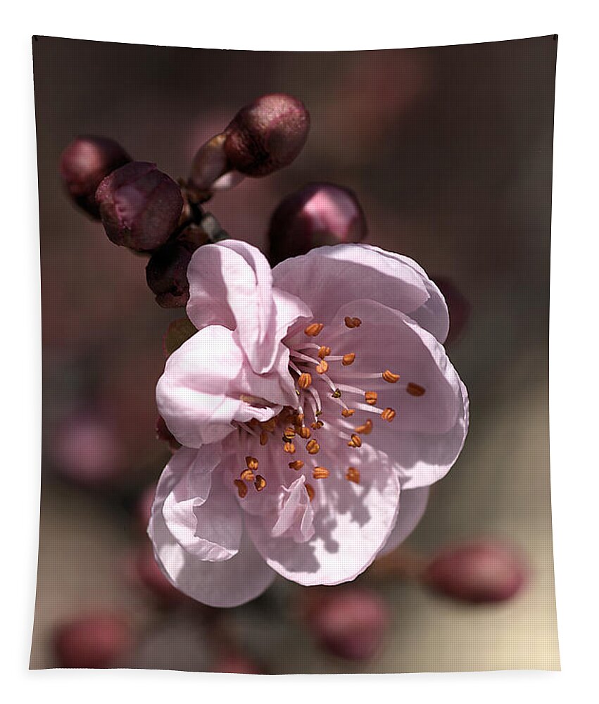 Spring Blossom Tapestry featuring the photograph Spring Blossom by Joy Watson