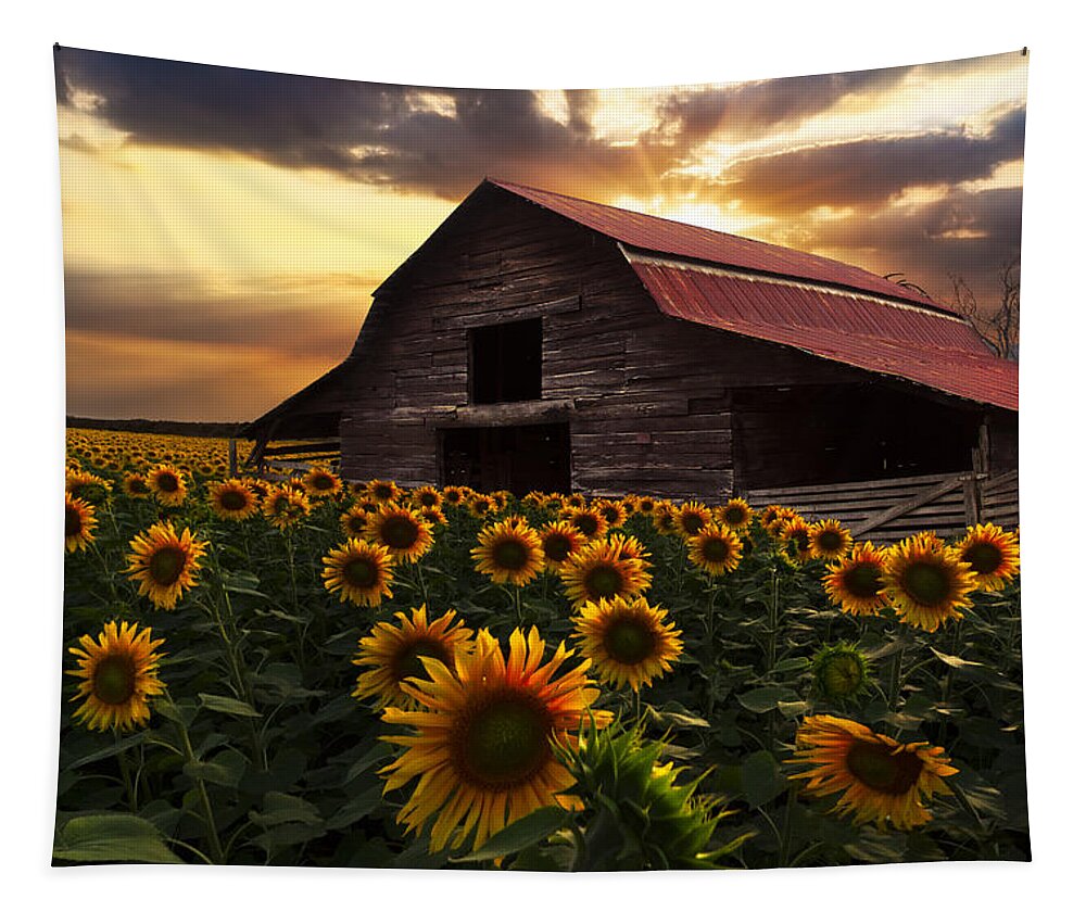 Sunflowers Tapestry featuring the photograph Sunflower Farm by Debra and Dave Vanderlaan