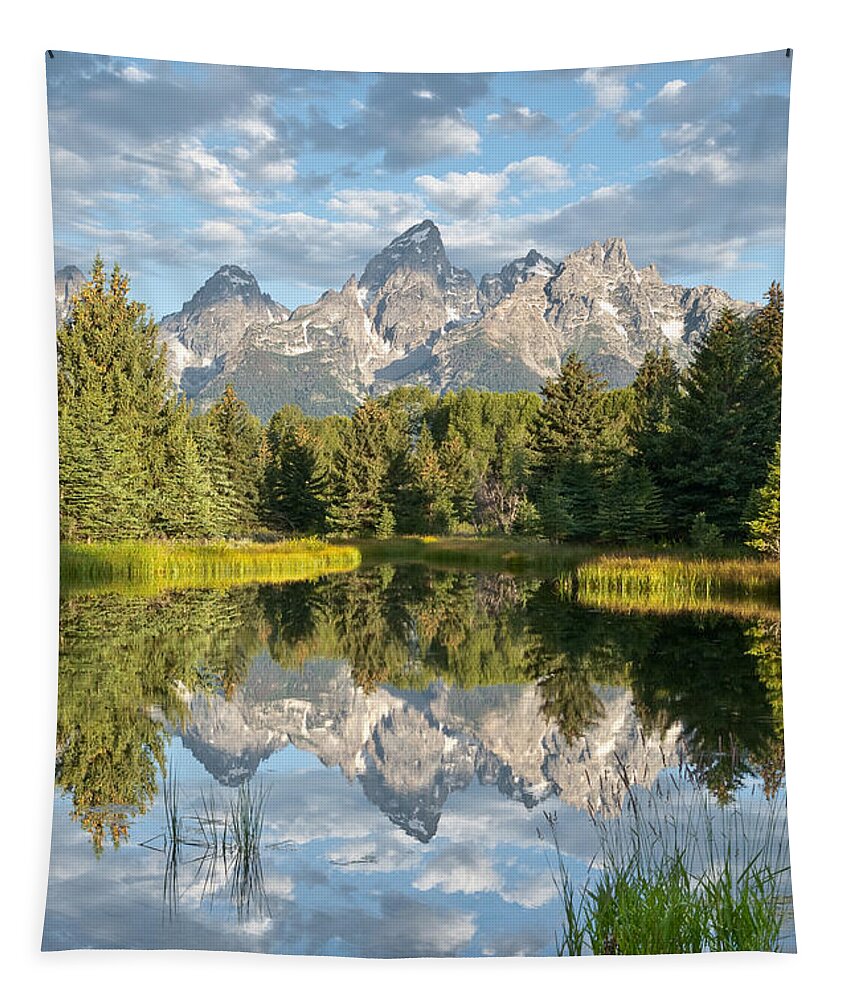Awe Tapestry featuring the photograph Teton Range Reflected in the Snake River by Jeff Goulden