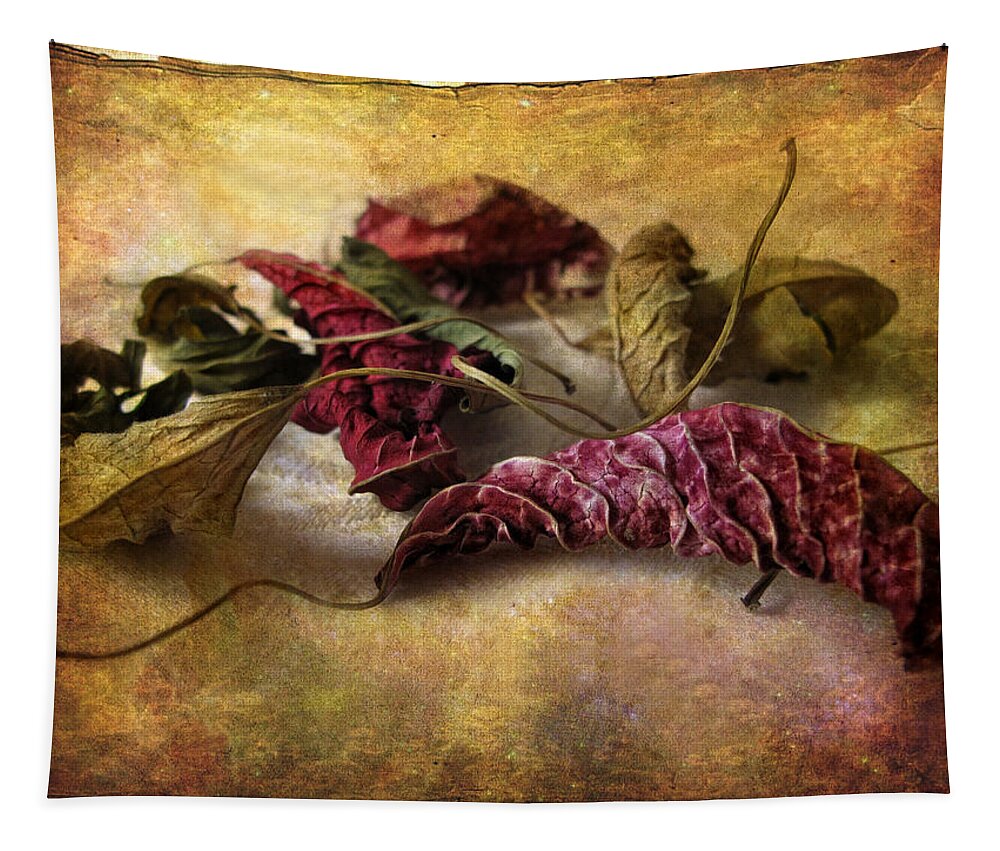 Leaves Tapestry featuring the photograph Timeworn by Jessica Jenney