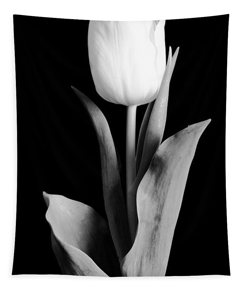 Tulip Tapestry featuring the photograph Tulip #2 by Sebastian Musial