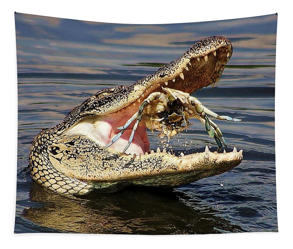 Gators Tapestry featuring the photograph What A Catch #17 by Paulette Thomas